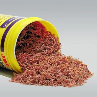 Живой корм