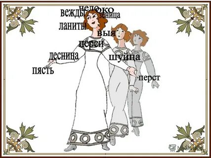 Шуйца это устаревшее слово