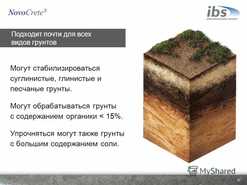 Trillioner. подходящие почти. оборачивается на другую девушку. ким кардашьян цветотип. невзлюбила часть речи какая.