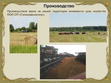 Курганская область хозяйство