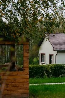 Just wood тула