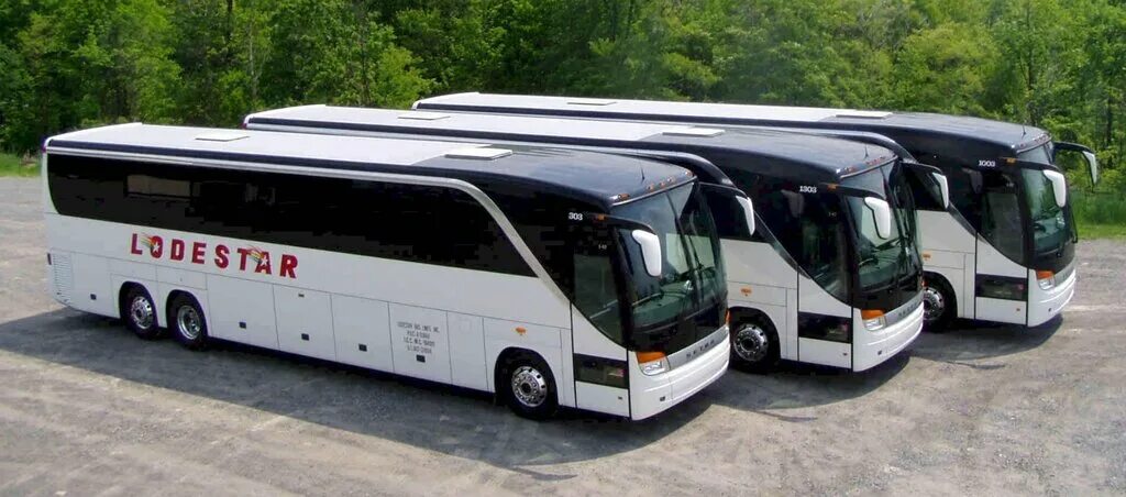 Международные перевозки автобусом. Туристический автобус. Пассажирский автобус. Автобус для дальних поездок. Автобус турист.