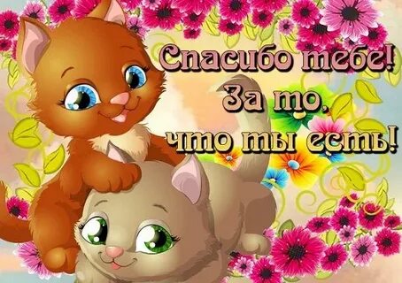 Спасибо за то что ты у