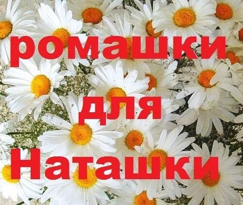 Самые наташки