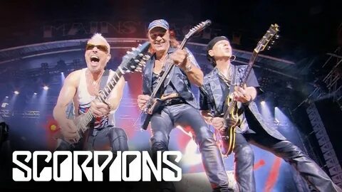 Am scorpions