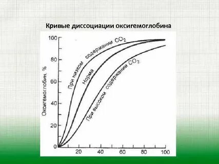 Кривые диссоциации кислорода