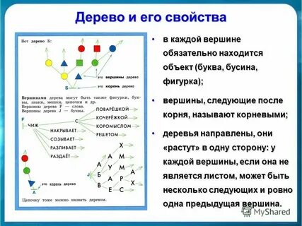Каждая вершина дерева имеет более одного предка