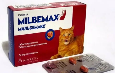После приема мильбемакс
