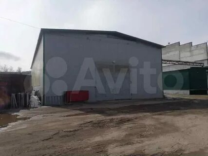 Пенза шуист авито