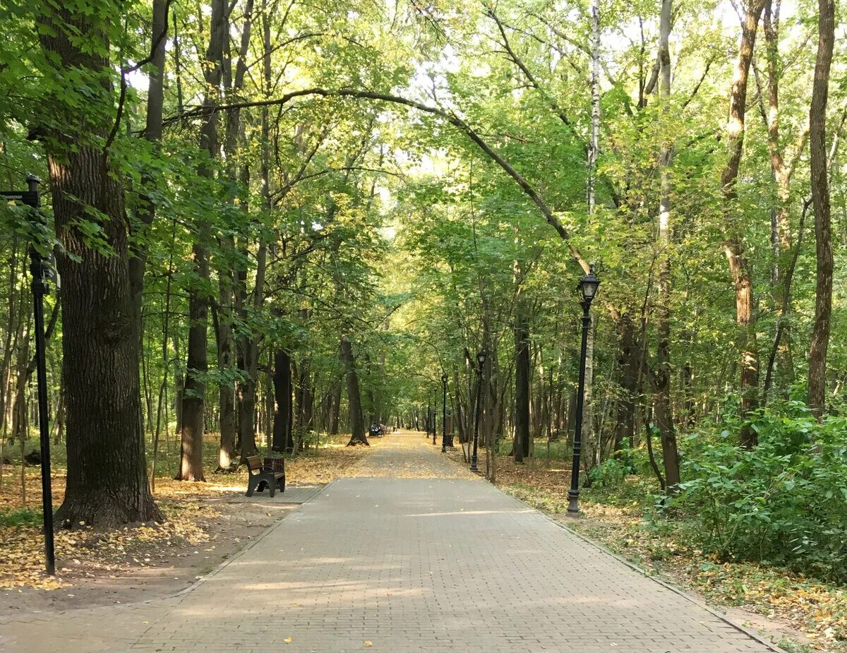 Филевский парк купить. Филевский парк. Парк Фили Москва. Филевский парк Москва. Парк Филевский парк.