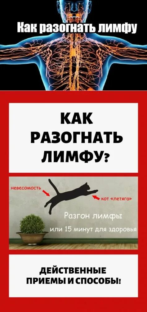 Что значит разогнать. Как разогнать лимфу. разгонять лимфу как разогнать. как разогнать лимфу по организму. упражнения разгоняющие лимфу.