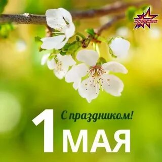 Май пр