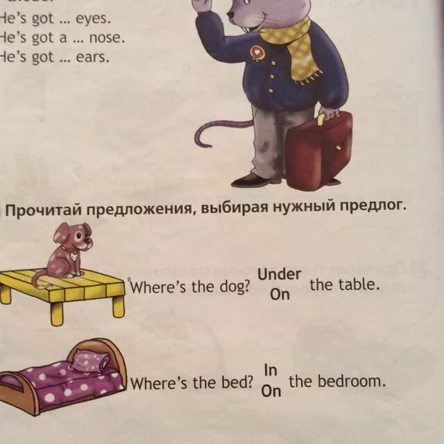 He hasn t got a nose. Прочитай предложения вставляя соответствующее слово. прочитай предложение выбирая нужный предлог. he&#039;s got eyes вставить слово. реши и прочитай предложение.