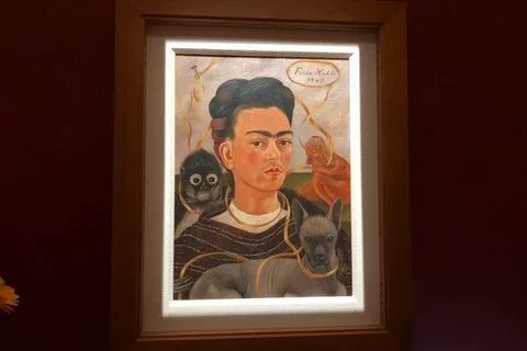 Выставка фриды кало краснодар