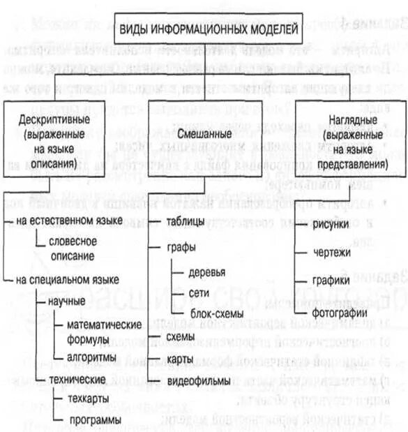 Виды информационных моделей примеры Конспект урока информатики "Табличные информационные модели" информатика, урок