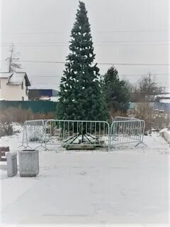 Поставить елку 24 декабря