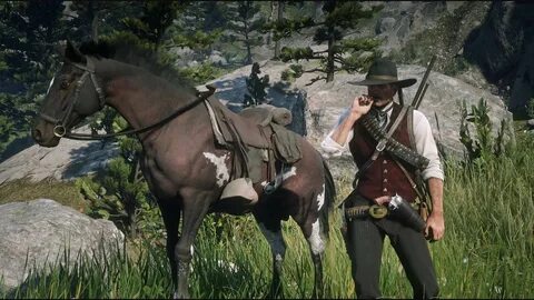 Red dead механики