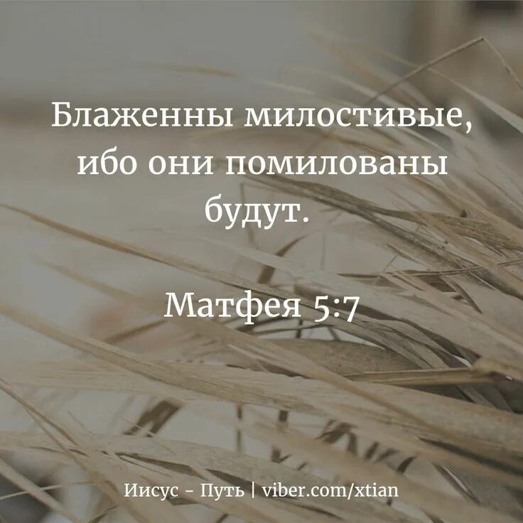 Блаженны милостивые ибо они помилованы. Блаженны ибо помилованы будут. Блаженны милостивые ибо они помилованы будут картинки. Блаженны милостивые ибо они помилованы будут картинки. Блаженны ибо помилованы будут.