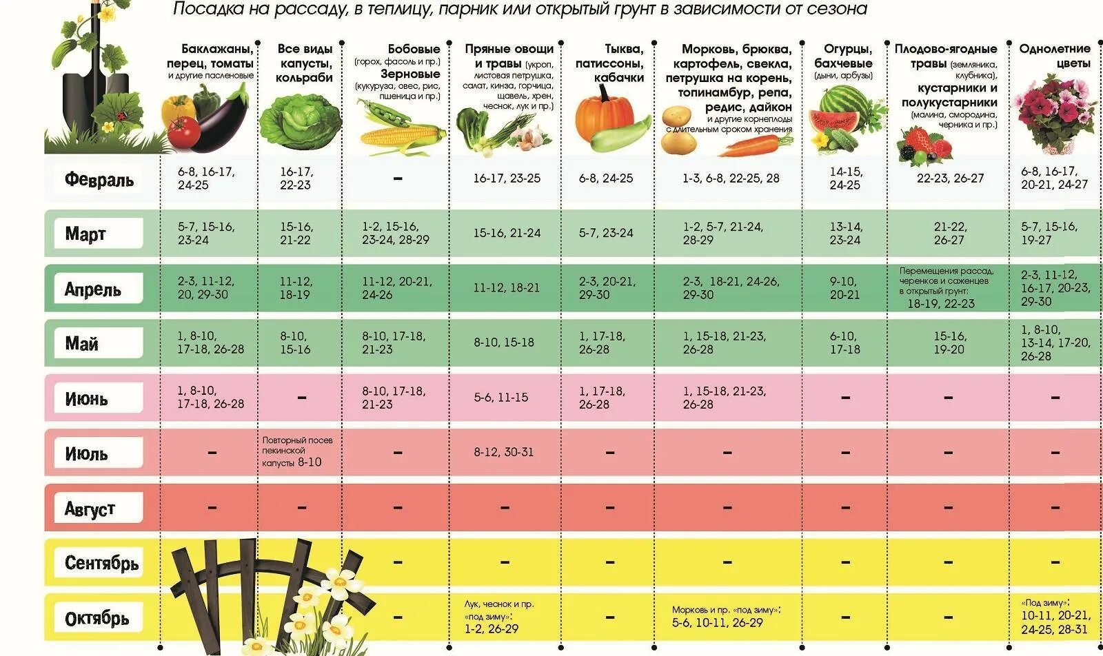 Сроки высадки рассады овощей в открытый грунт. Сроки посадки овощных культур в открытый грунт. Семена овощей на рассаду когда какие сажать. Таблица высадки овощей на рассаду.