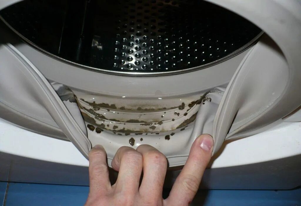 Почему в стиральной машине пена. Манжета барабана стиральной машины LG. Индезит стиральная 867 размер ремня. Плеснньв стиральной машине. Грибок в стиральной машинке.
