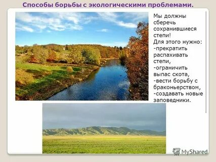 Экологические связи в степи