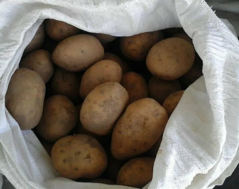 Овощехранилище, сельскохозяйственная продукция, Тюменская область, Тобольск, тер