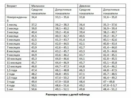 Норма роста головы