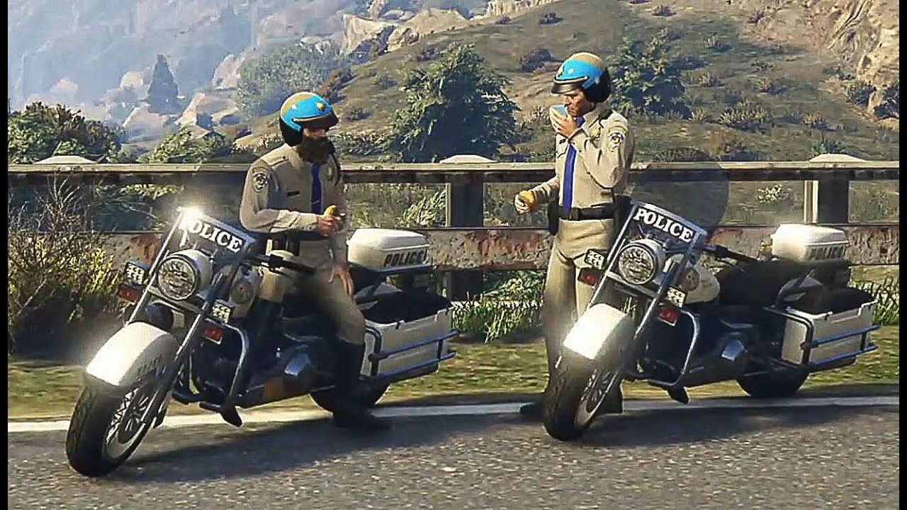 I fought the law. Погоня от полиции мотоциклы ГТА 5. GTA V Молли Шульц. GTA 5 Molly Schultz. True Fight the Type GTA 5.