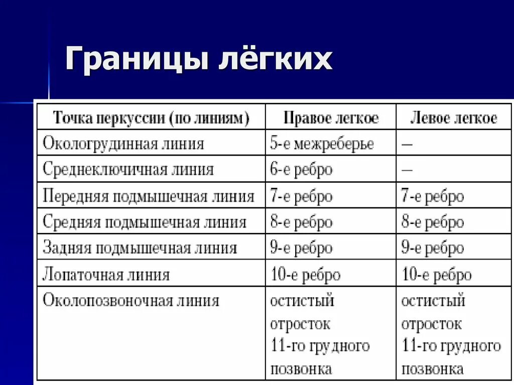 Границы легких определяются. Верхняя граница легких спереди. Топографическая перкуссия легких норма верхняя граница. Топографическая перкуссия легких норма таблица. Верхние границы легких таблица.