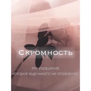 Скромность цитаты
