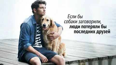 Собратья друзьям