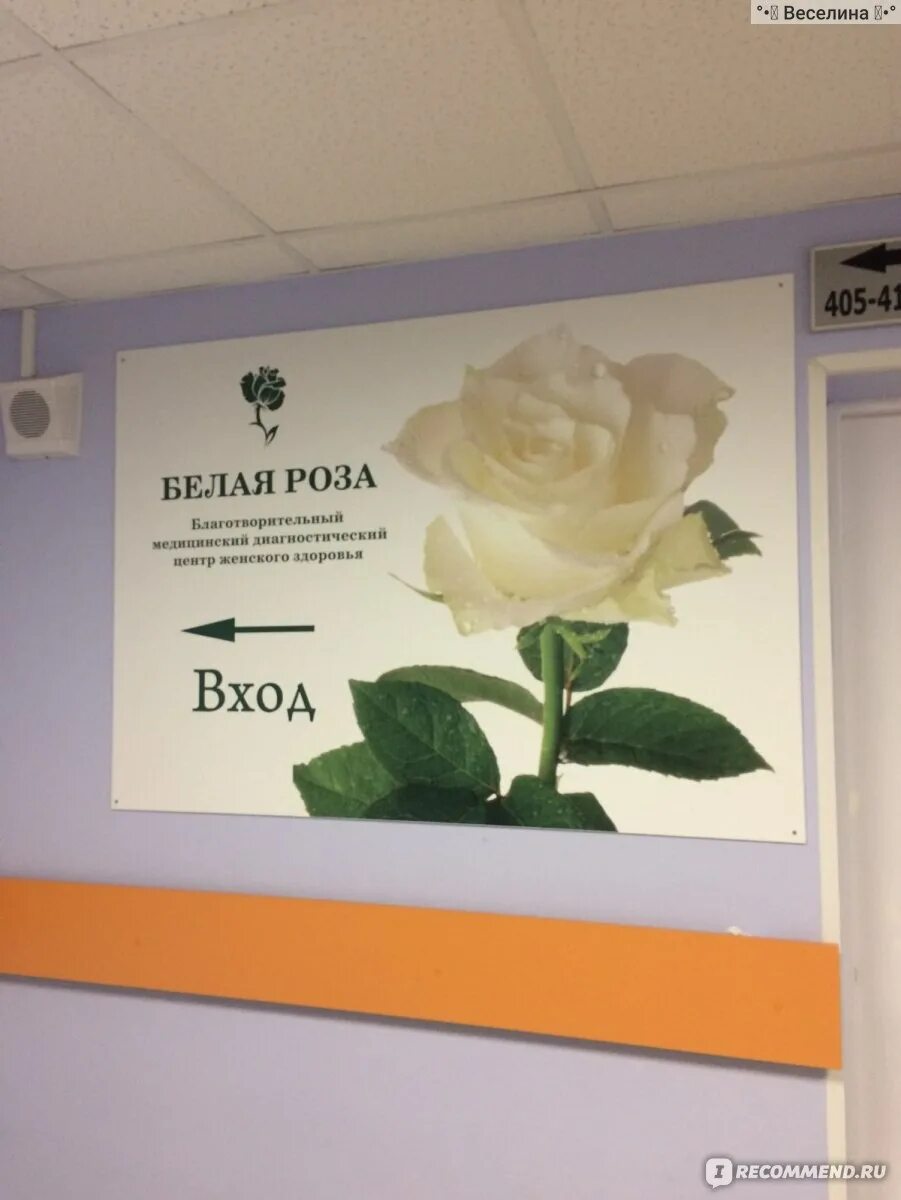 Центр белые розы в спб. Центр белые розы в спб