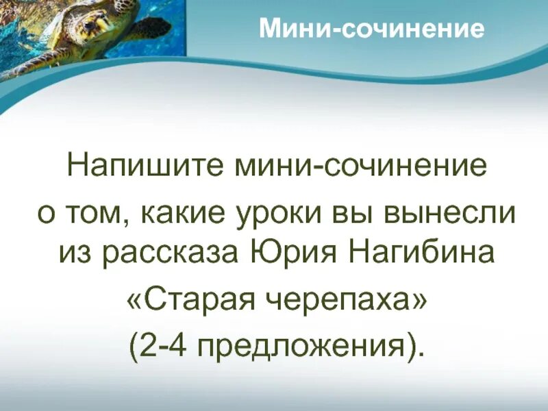 Сочинение по тексту нагибина. Нагибин старая черепаха сочинение. сочинение по тексту старая черепаха. сочинения по рассказу старая черепаха. мини-сочинение &quot;какие уроки вынес герой из уроков лидии михайловны&quot;..