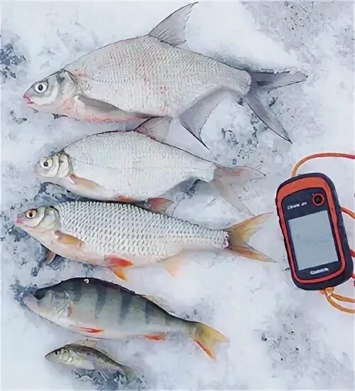 Водохранилище в москве. Беляная гора рузское водохранилище. Акатово рузское водохранилище база контакты. Озернинское водохранилище руза. Крупнейшее водохранилище москве.
