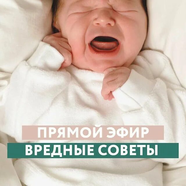 Рожден удивлять. Рожден удивлять. Рожден удивлять. Рожден удивлять. Рожден удивлять.