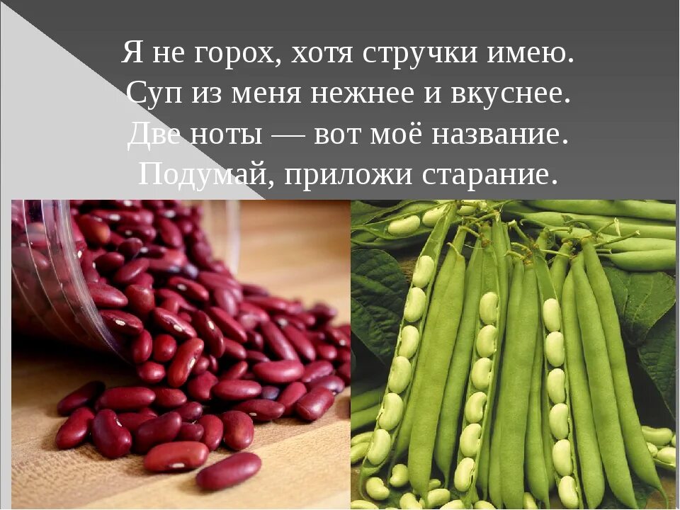 Родина гороха. Горох прикол. Горох вкусный стручок. Горох распространение.