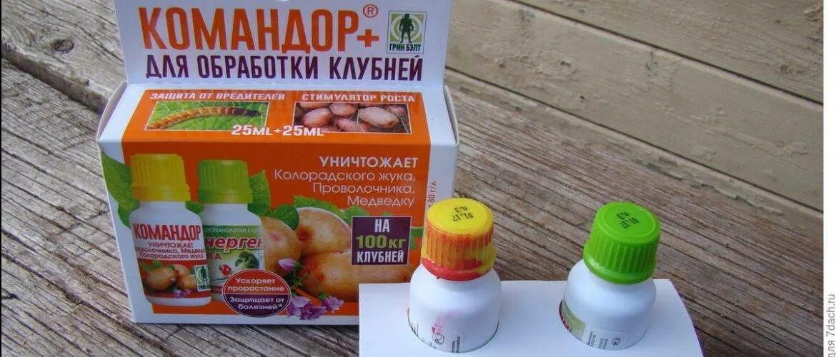 Препарат от колорадского жука при посадке картофеля. Командор + для обработки клубней картофеля (уп 2 фл по 25 мл) - 24 шткор. командор 25 мл от колорадского жука. командор для картофеля от колорадского жука. средство от колорадского жука перед посадкой картофеля.