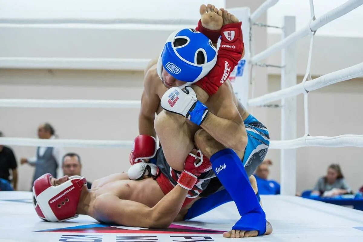 Мма петр олегович мма. Мма бс. Нави мма бс. Бс мма. Бс мма.