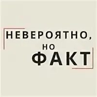 Кроме фактов