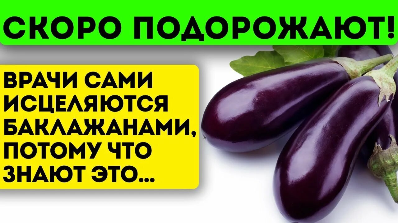 Баклажаны польза и вред для здоровья противопоказания. Чем полезен баклажан. Интересные факты о баклажане. Баклажаны польза и вред для здоровья противопоказания. Овощи чем полезны для организма.