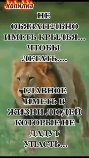 Не обязательно иметь крылья