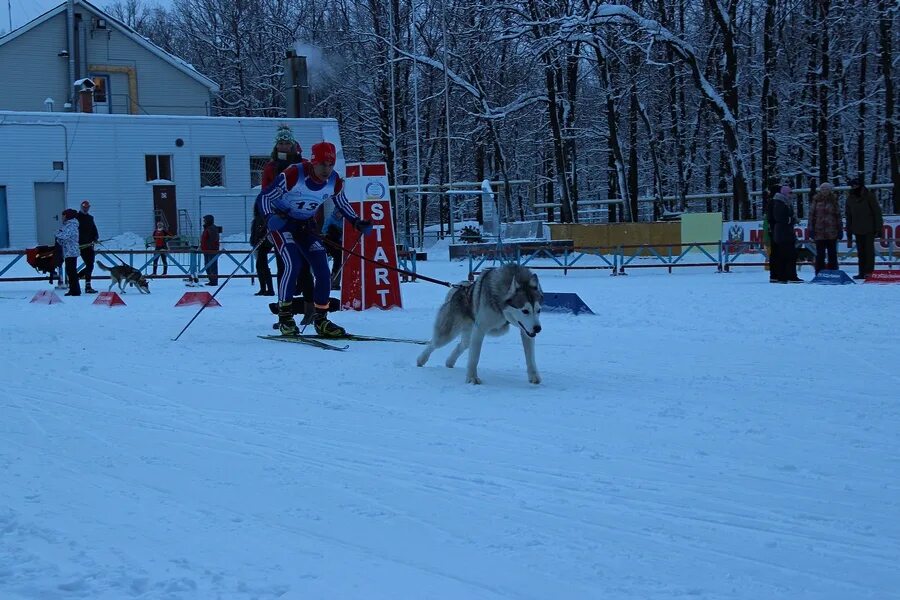 Сайт чайка самара. Самара спортивная база чайка. лыжный комплекс чайка самара. чайка трассы самара лыжные. лыжная база чайка самара летом.