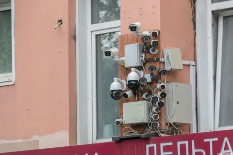 Есть ли в садах камеры