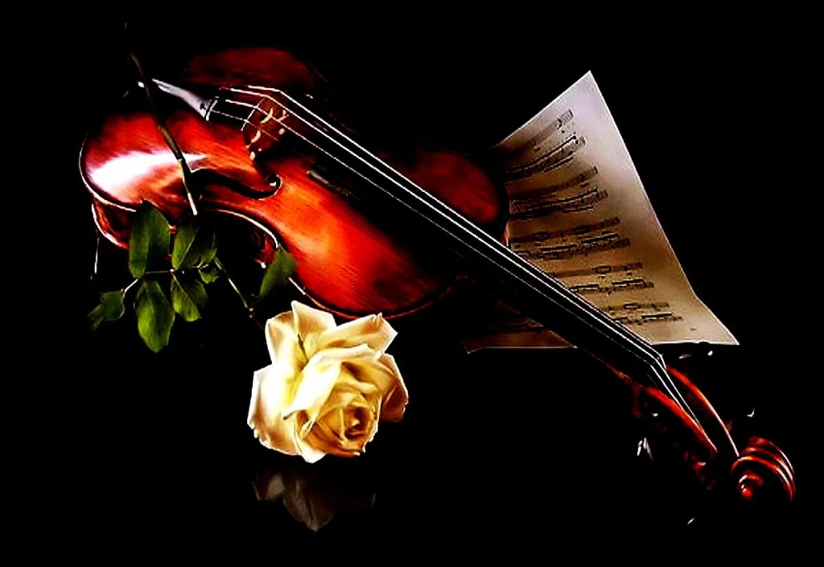 Лучшие произведение музыкальные слушать. Скрипка. Скрипка и цветы. Натюрморт со скрипкой. Поздравляем музыкальные инструменты.