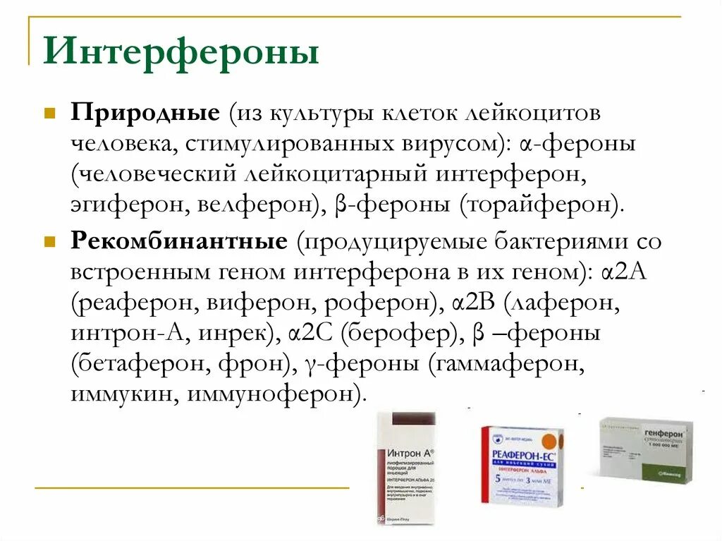 Основной функцией интерферонов является
