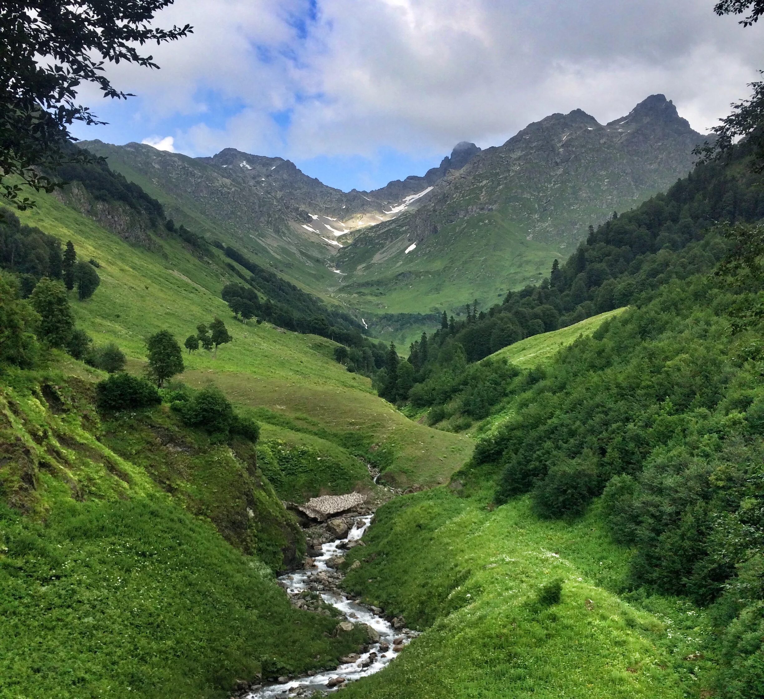 Абхазская республика. Абхазия горы. Пыф Абхазия. Абхазия ландшафт. Высокогорные горы Абхазии.