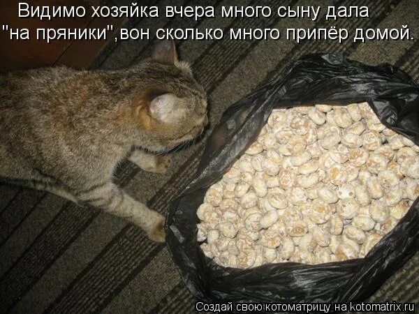 Все люди злые. Очень много домашки рисунок. Подольше побольше. Я и долги по учебе. Отбросы мем.