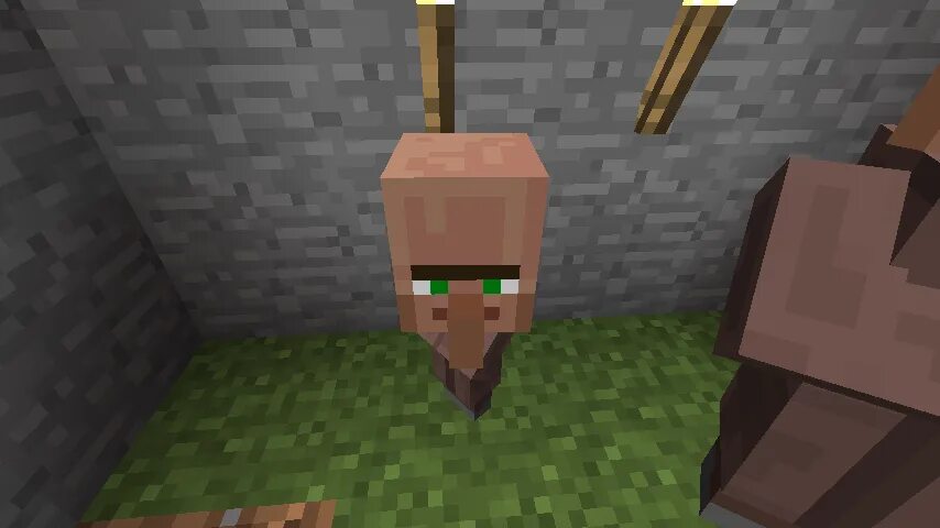 Фото жителя. Майнкрафт Villager Baby. Житель Мясник майнкрафт. Житель кузнец в МАЙНКРАФТЕ. Житель пастух в МАЙНКРАФТЕ.