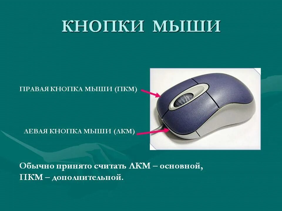 Нажать правую кнопку мыши. Кнопки мыши ЛКМ ПКМ. Компьютерная мышь основные кнопки сбоку. Основные приемы работы с мышью. Компьютерная мышь левая кнопка.