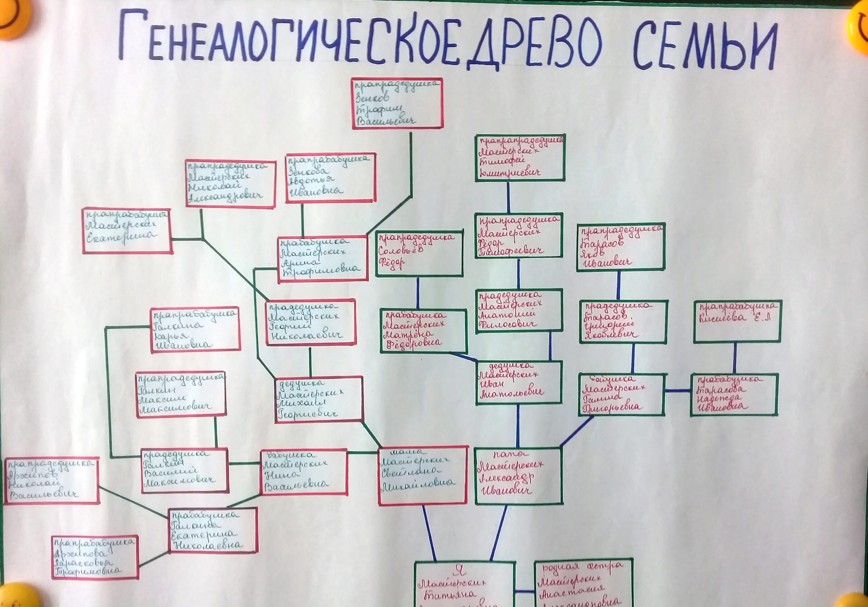 Таблица родословной. Как составляется родословная. Как составляется схема родословной. Составьте схему генеалогического дерева. Как составляется родословная.